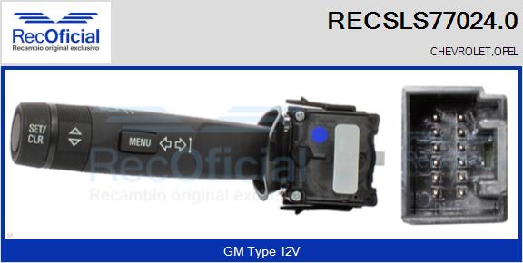 RECSLS77024.0