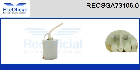 RECSGA73106.0