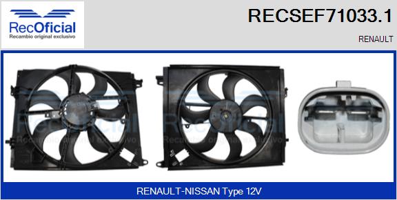 RECSEF71033.1