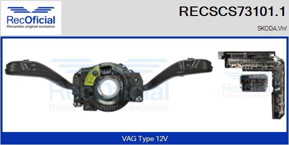 RECSCS73101.1
