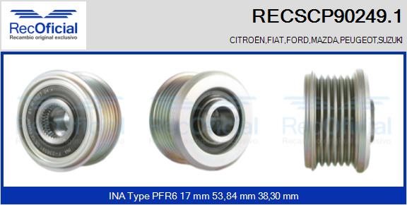 RECSCP90249.1