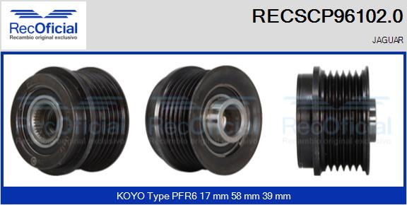 RECSCP96102.0