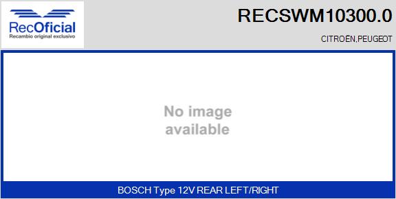 RECSWM10300.0