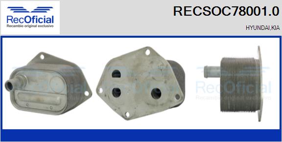 RECSOC78001.0