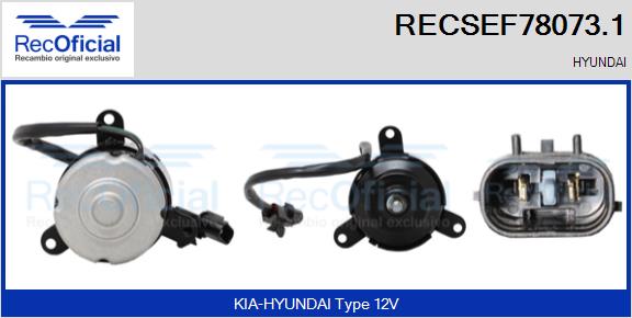 RECSEF78073.1