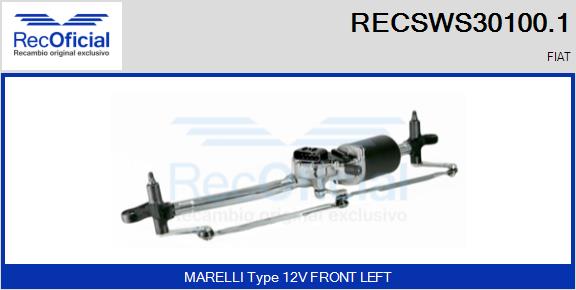 RECSWS30100.1