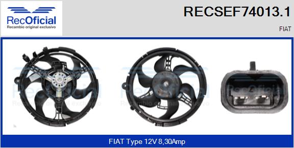RECSEF74013.1
