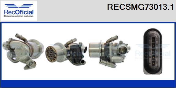 RECSMG73013.1