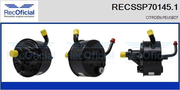 RECSSP70145.1