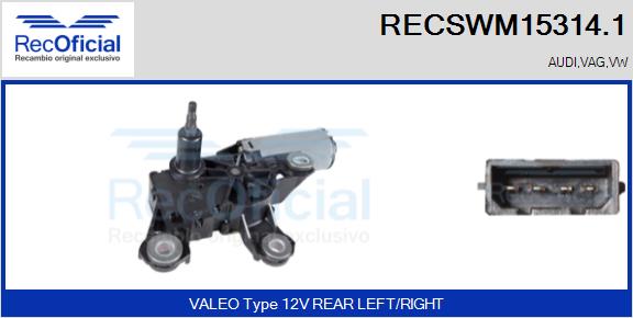 RECSWM15314.1