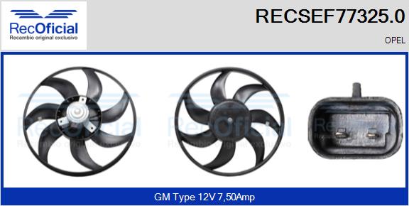 RECSEF77325.0
