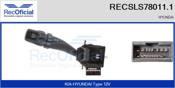 RECSLS78011.1