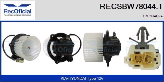 RECSBW78044.1