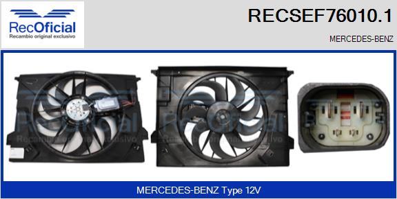RECSEF76010.1