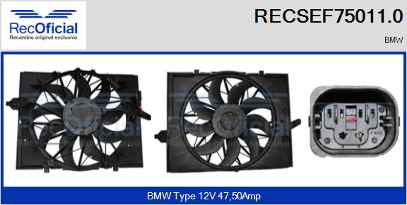 RECSEF75011.0