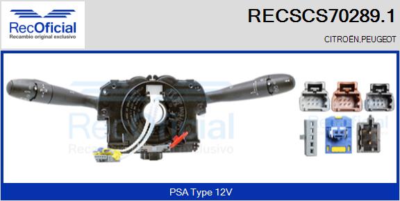 RECSCS70289.1