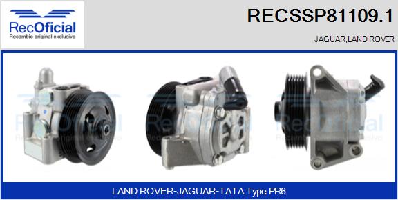 RECSSP81109.1