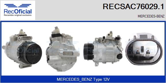 RECSAC76029.1