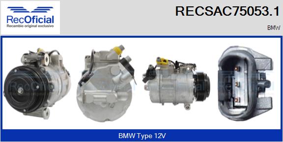RECSAC75053.1