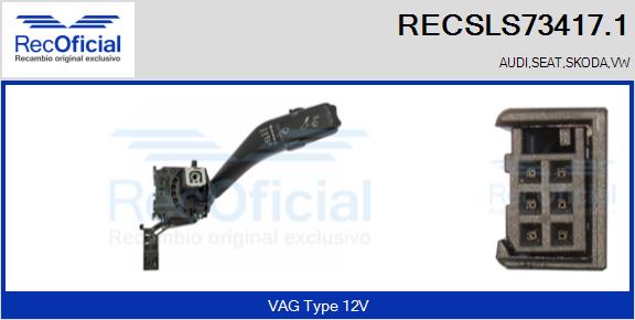 RECSLS73417.1