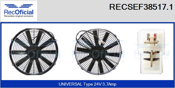 RECSEF38517.1