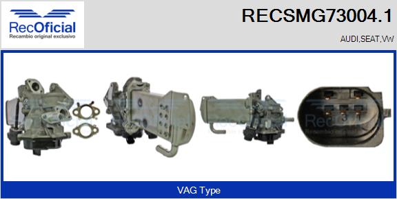 RECSMG73004.1