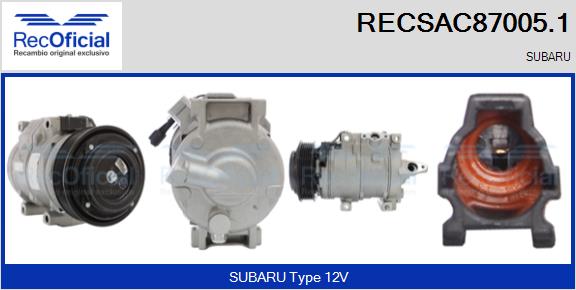RECSAC87005.1