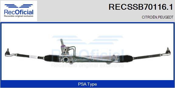 RECSSB70116.1