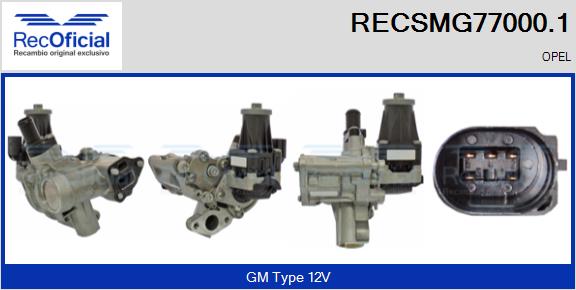 RECSMG77000.1