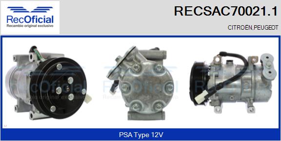 RECSAC70021.1