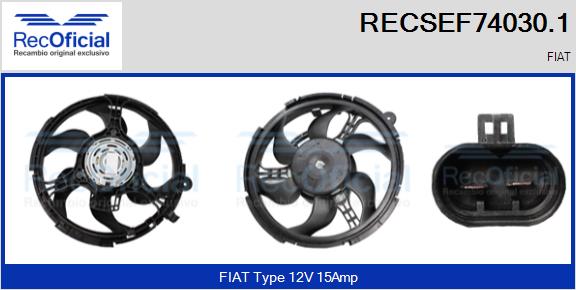 RECSEF74030.1