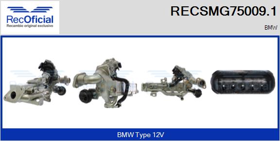 RECSMG75009.1