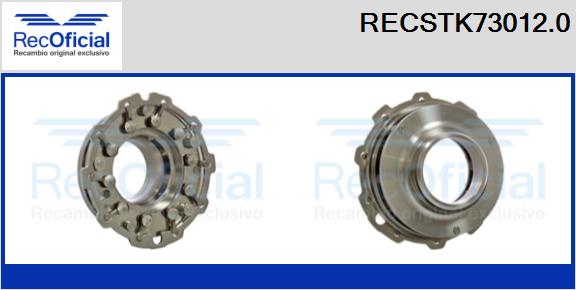 RECSTK73012.0