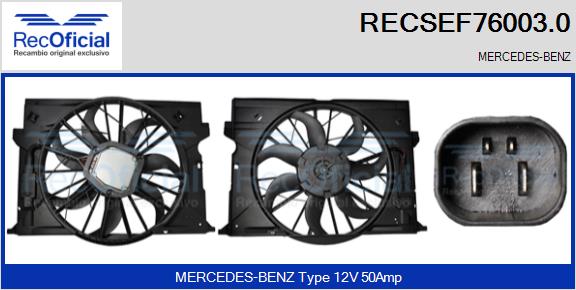 RECSEF76003.0