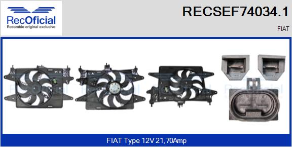 RECSEF74034.1