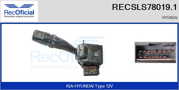 RECSLS78019.1