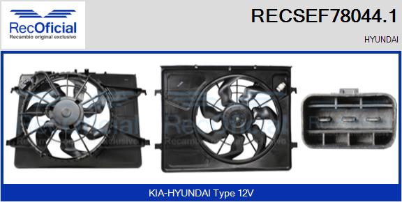 RECSEF78044.1