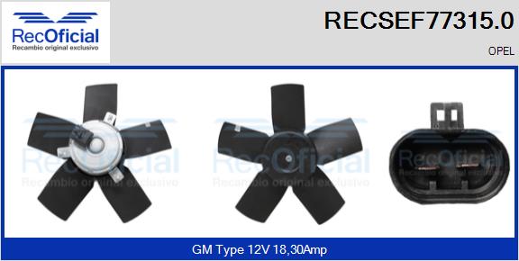 RECSEF77315.0