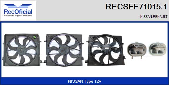 RECSEF71015.1
