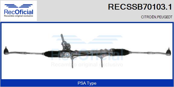RECSSB70103.1