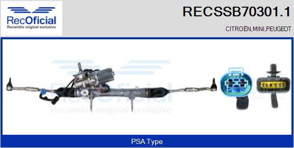 RECSSB70301.1