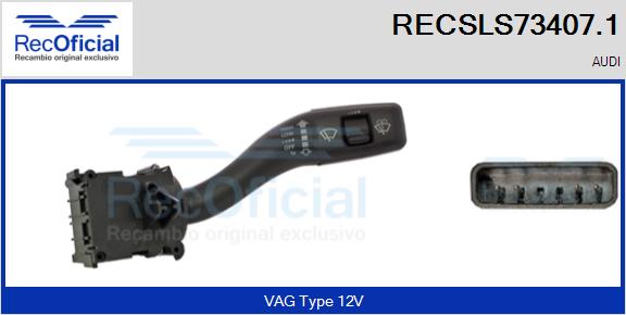 RECSLS73407.1
