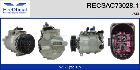RECSAC73028.1