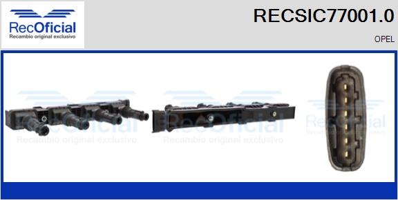 RECSIC77001.0