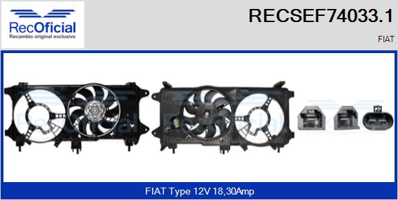 RECSEF74033.1