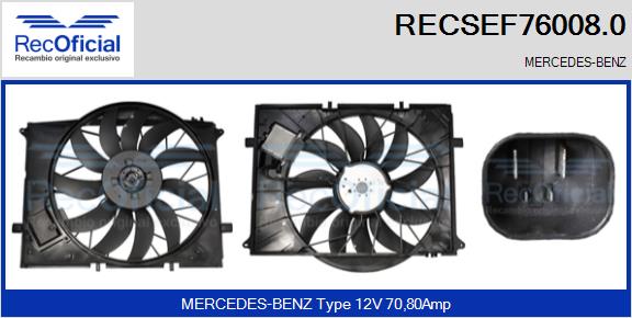 RECSEF76008.0