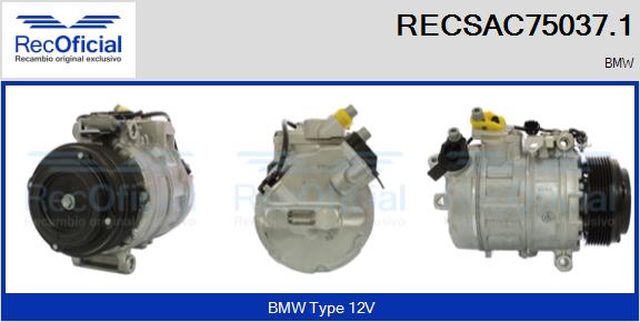RECSAC75037.1