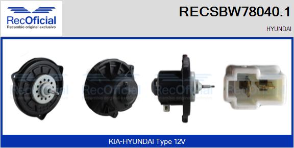 RECSBW78040.1