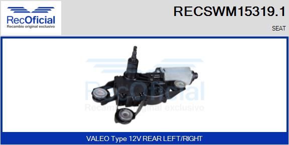 RECSWM15319.1
