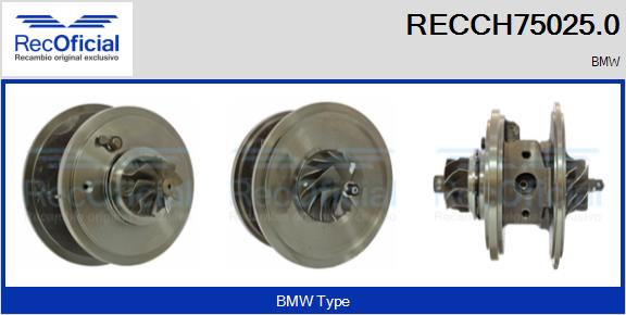 RECCH75025.0